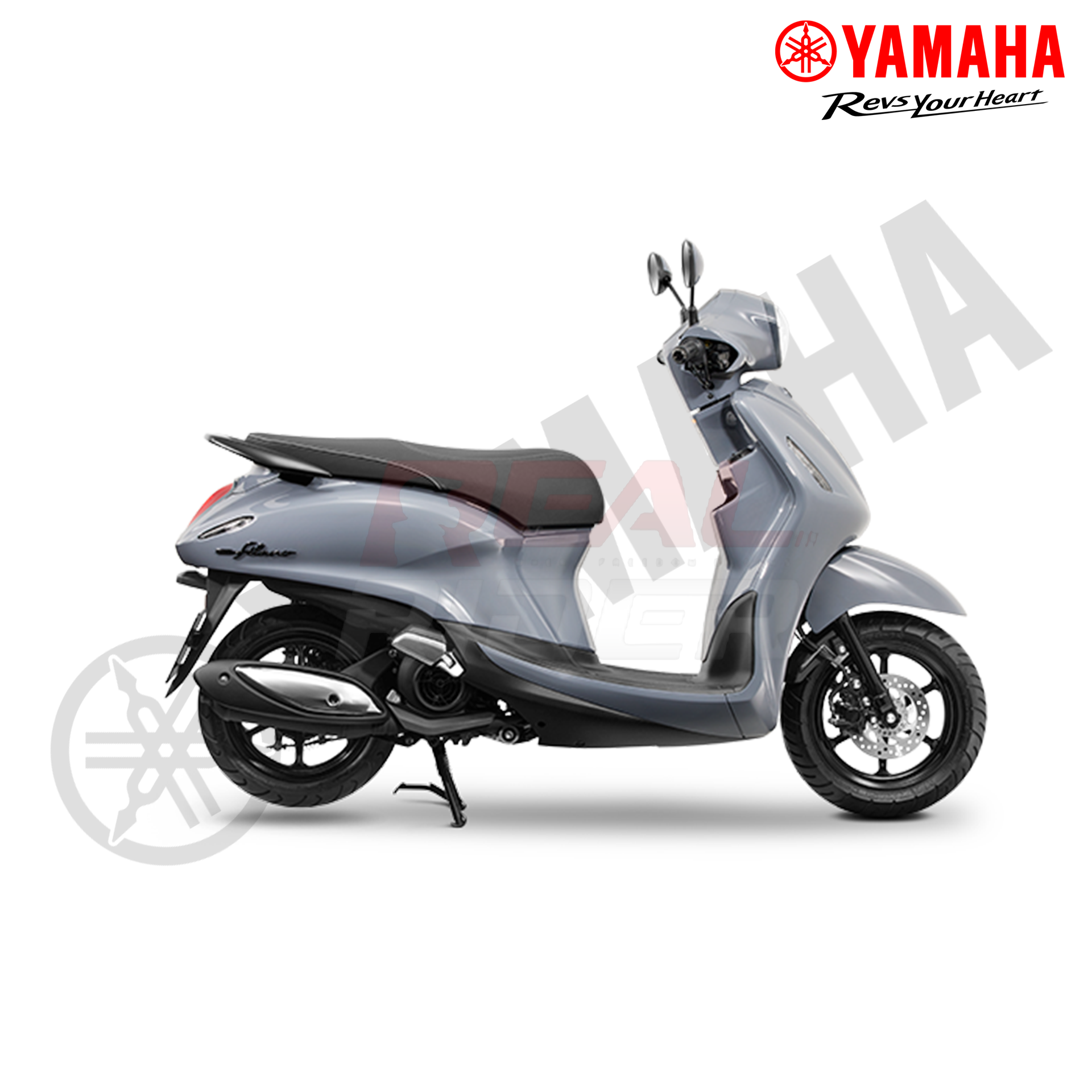 GRAND FILANO Standard Solid Gray 3