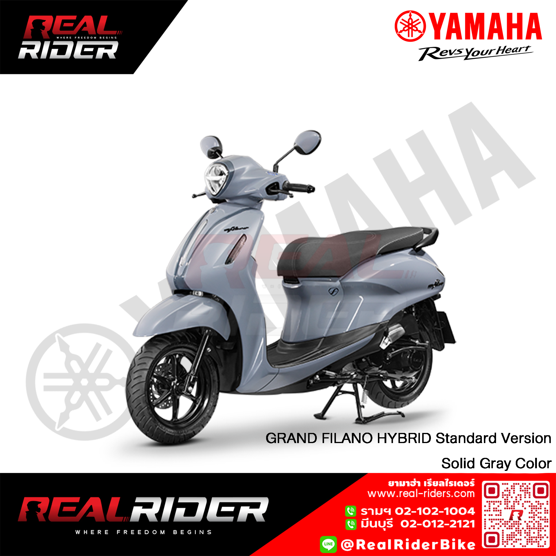GRAND FILANO Standard Solid Gray f
