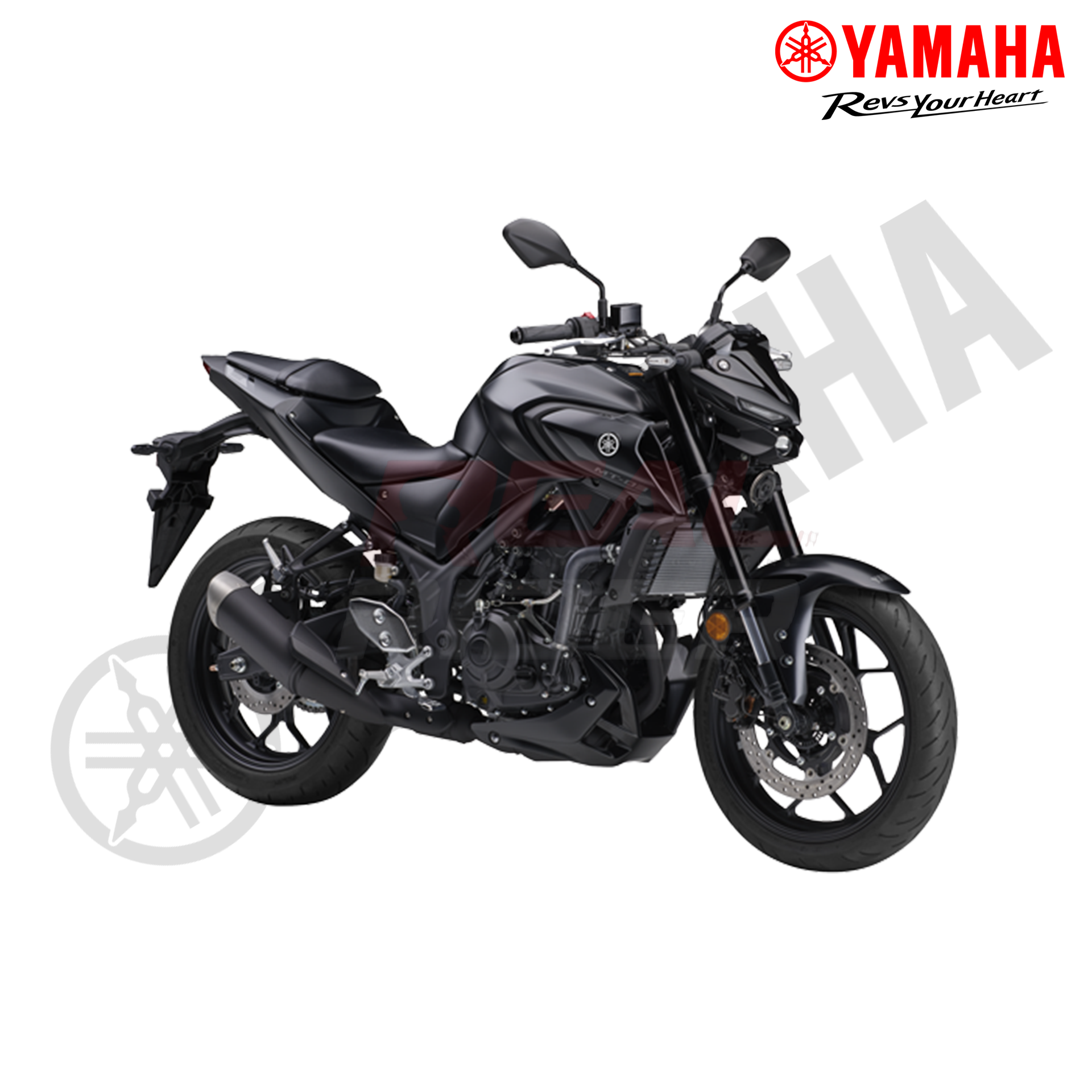 MT 15 Black 1