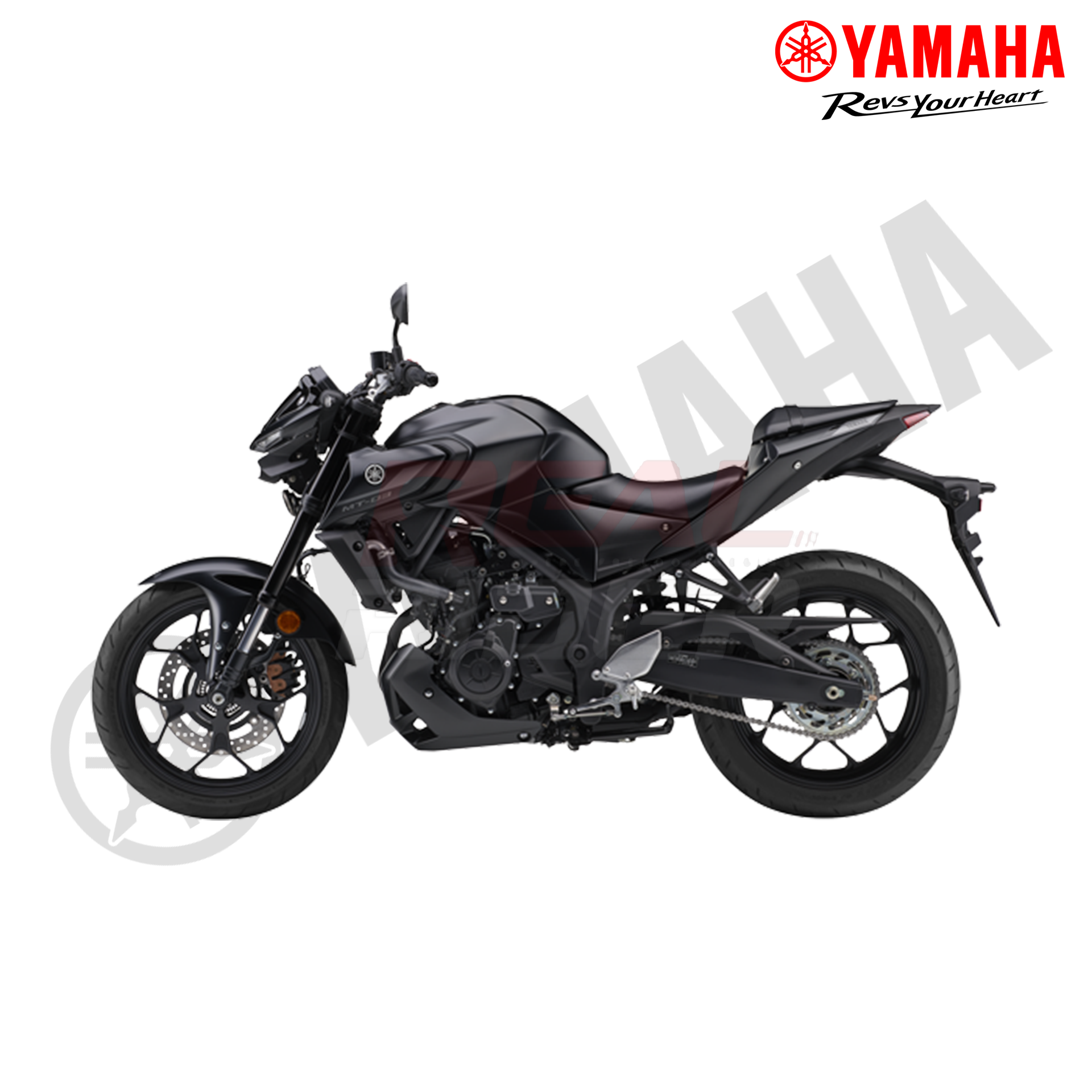MT 15 Black 3
