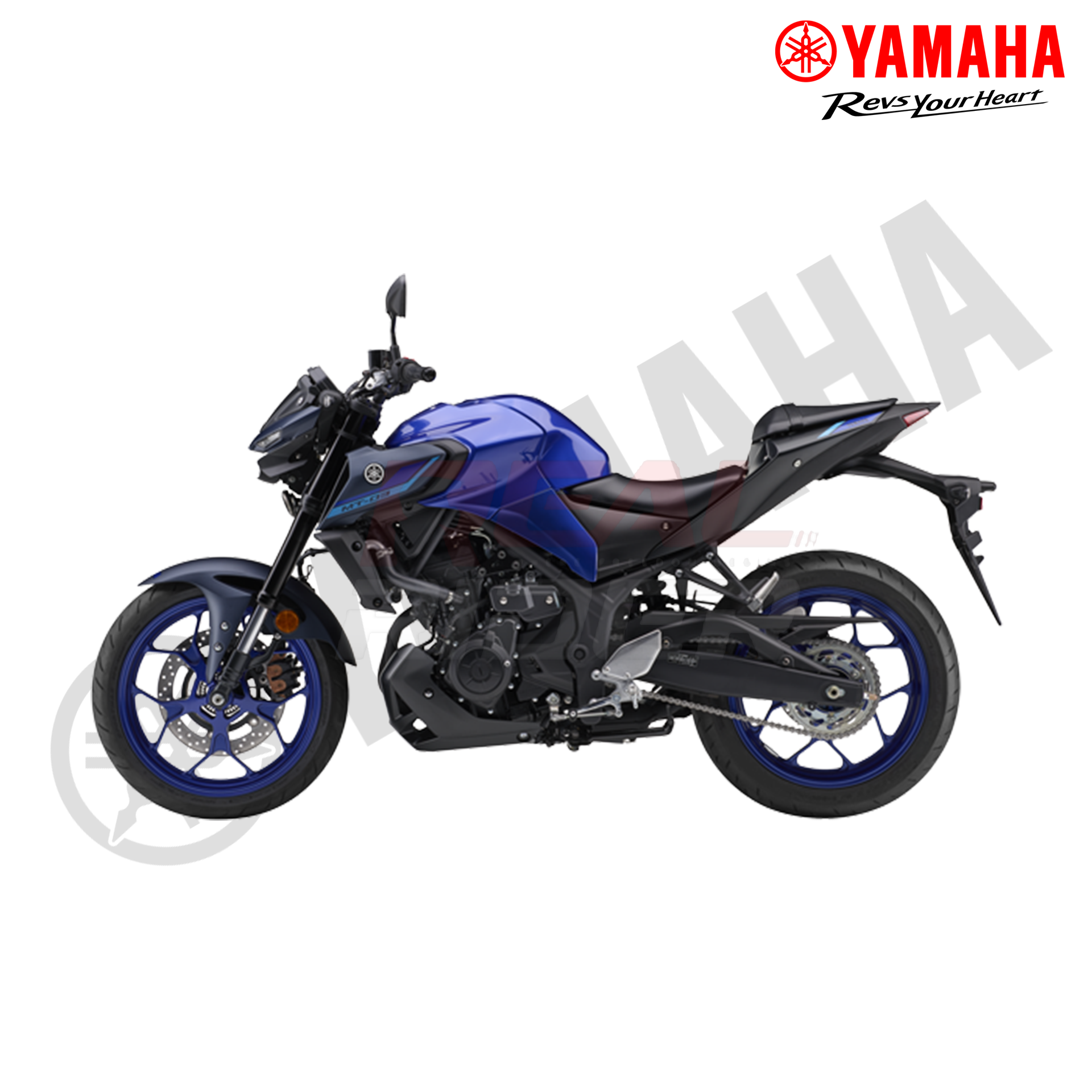 MT 15 Blue 1