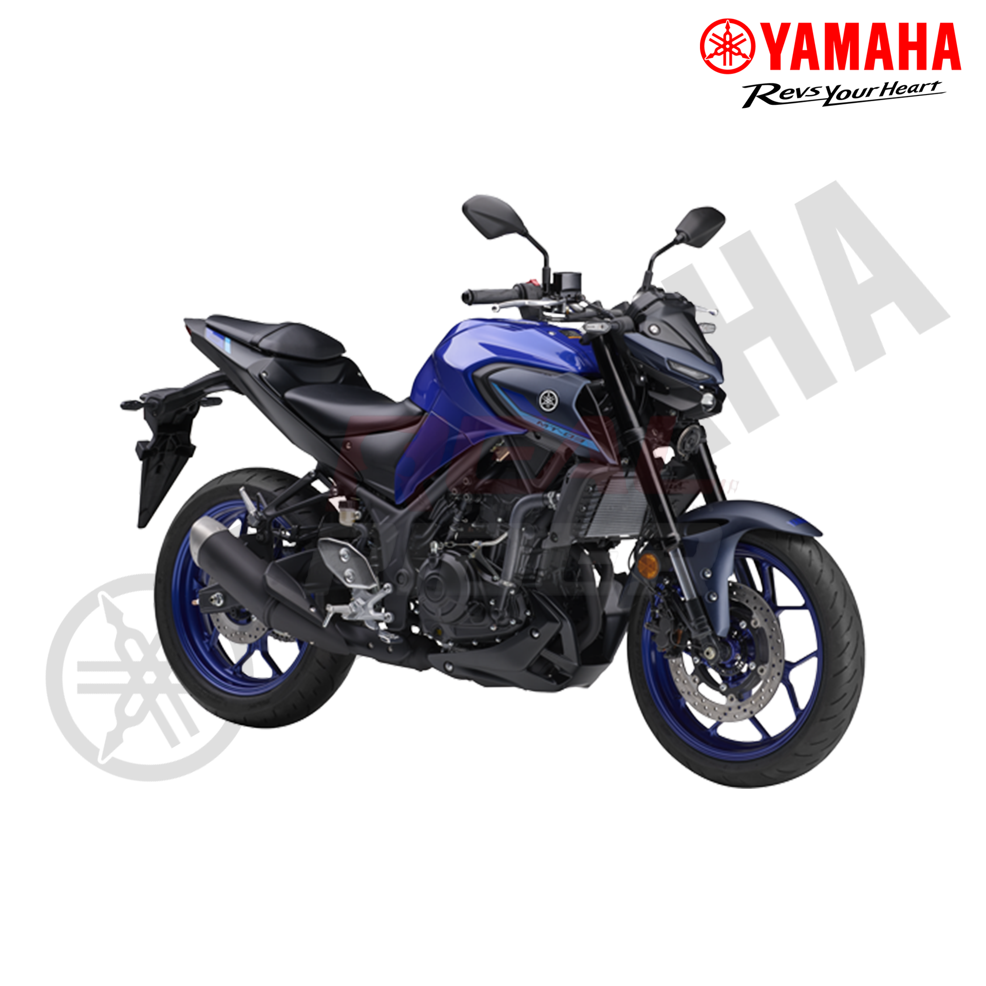 MT 15 Blue 2