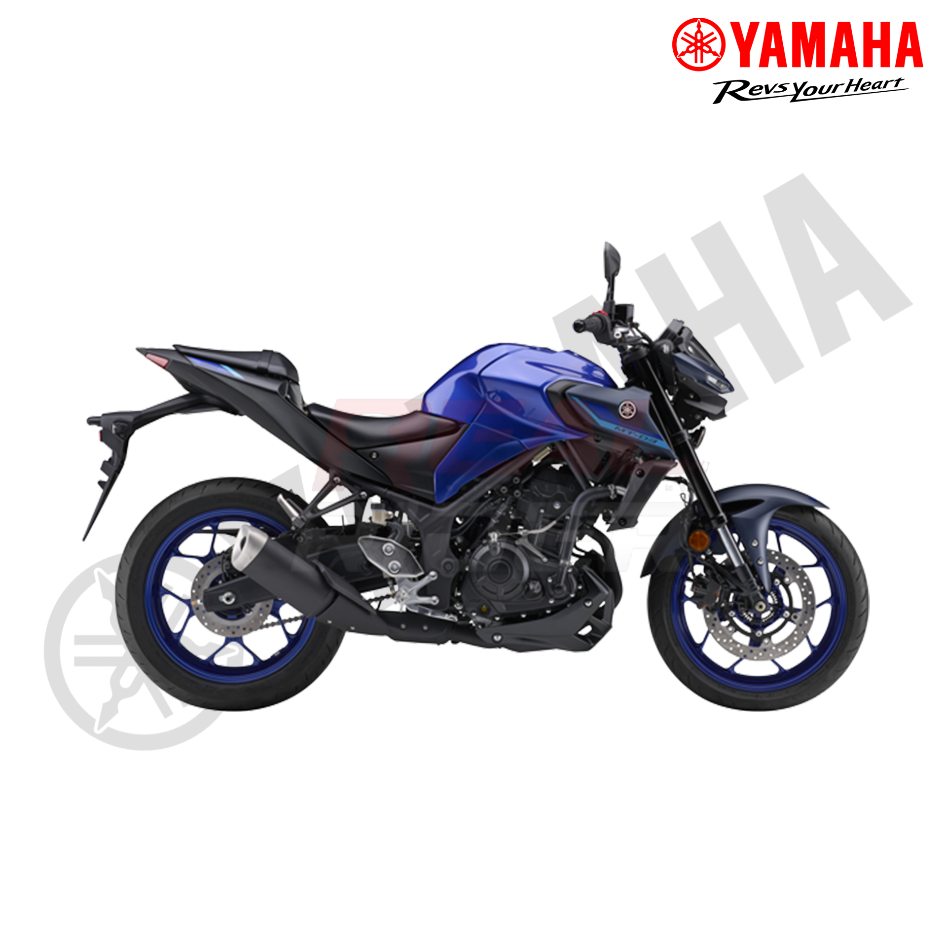 MT 15 Blue 3