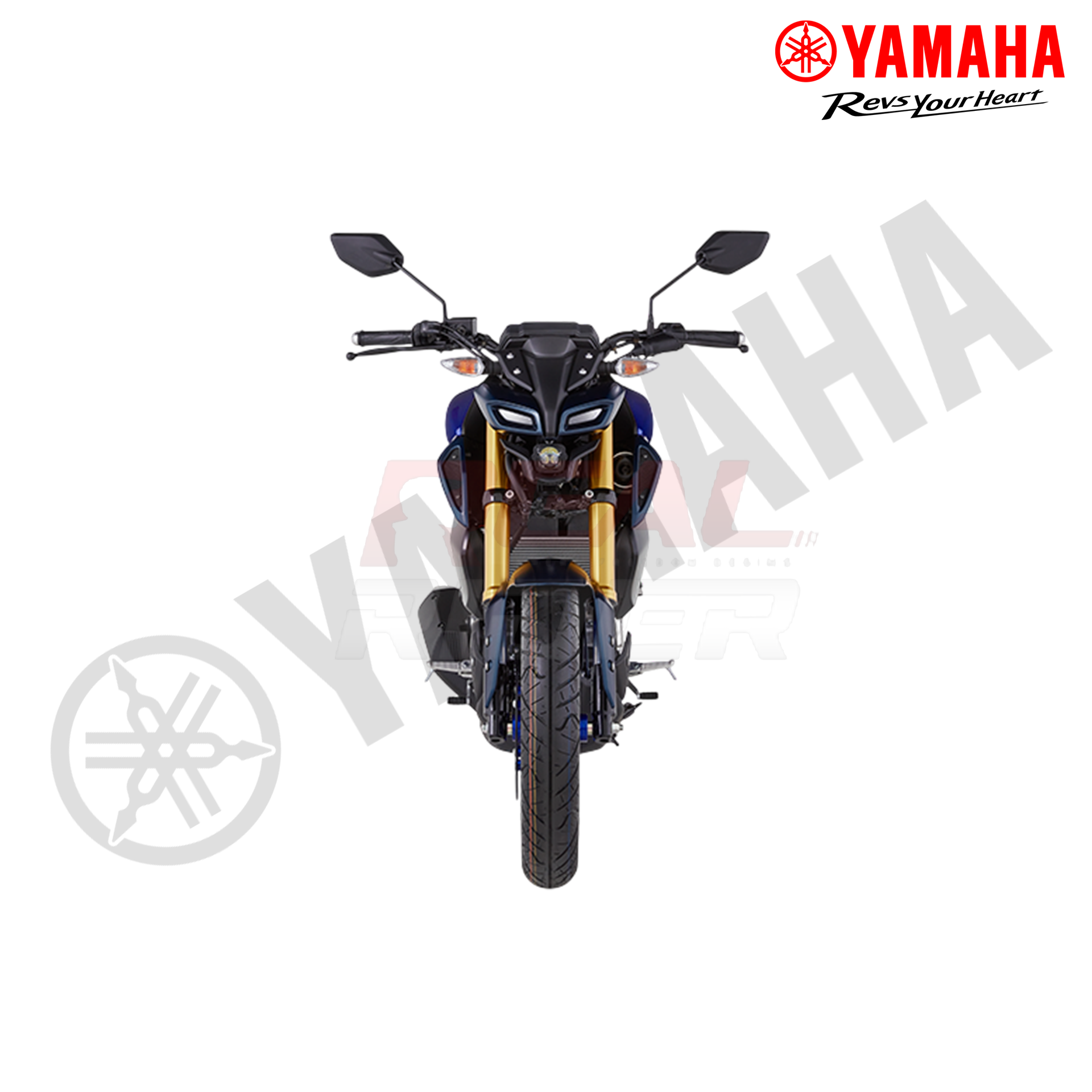 MT - 15 Racing Blue 1