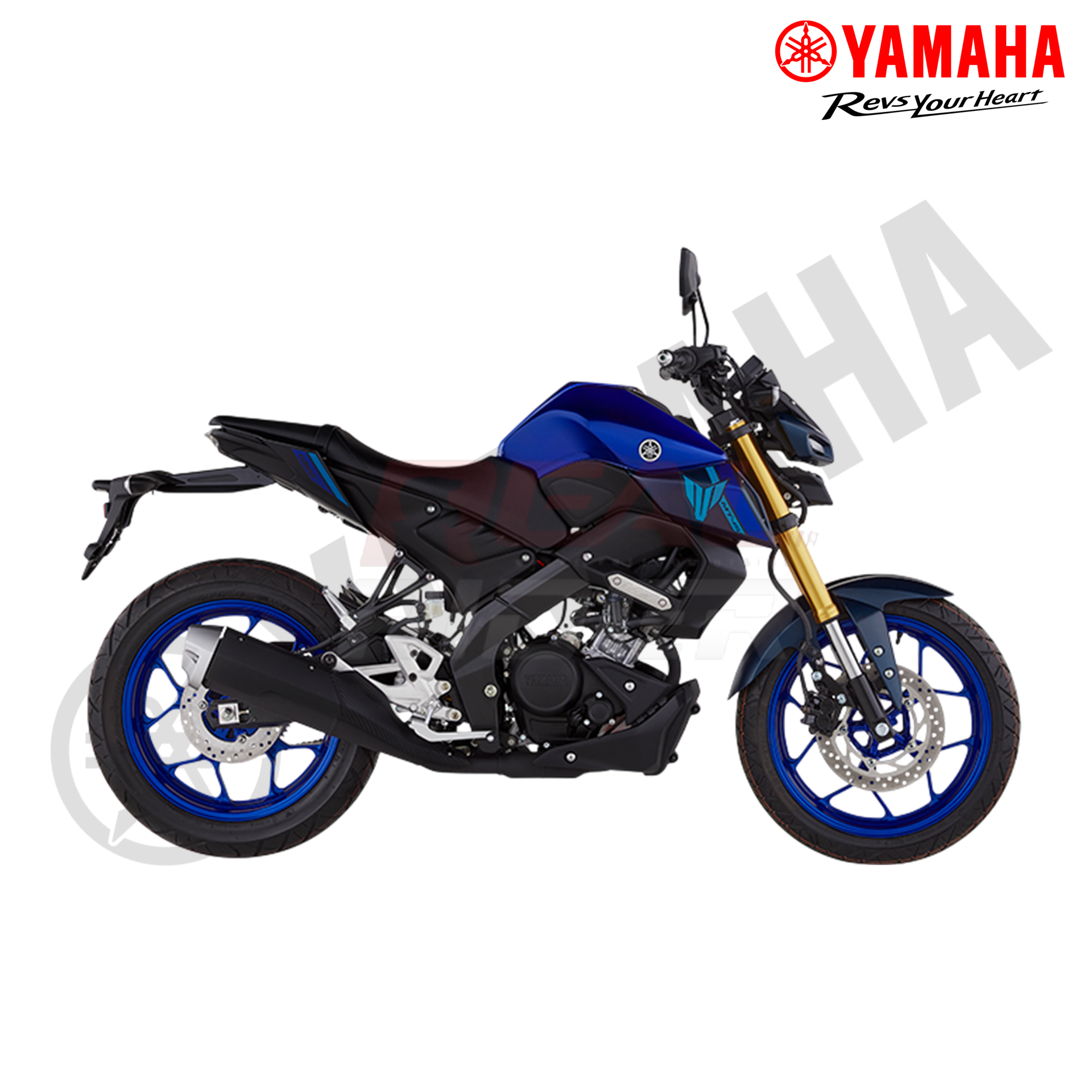 MT - 15 Racing Blue 3