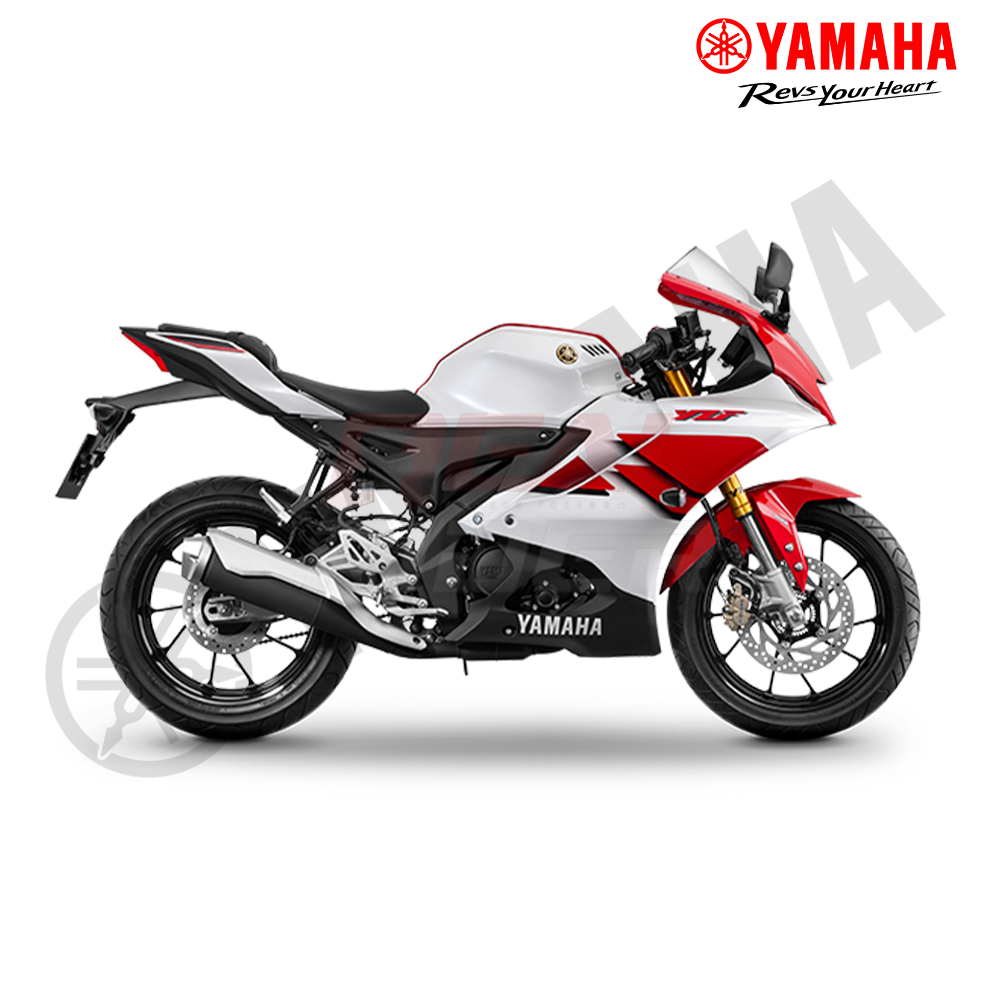 R15 CELEBRATION RED 3