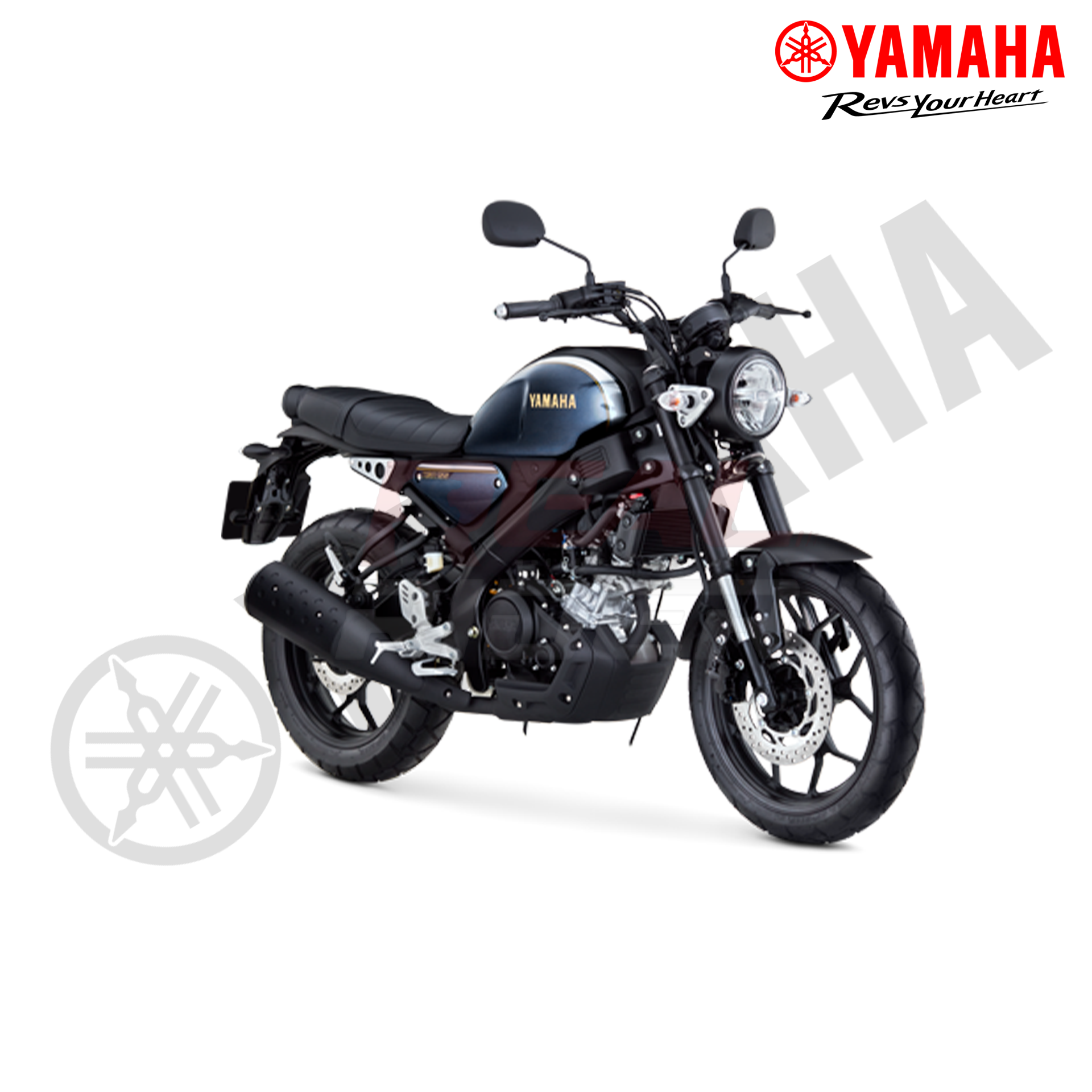XSR 155 Dark Navy Blue 2